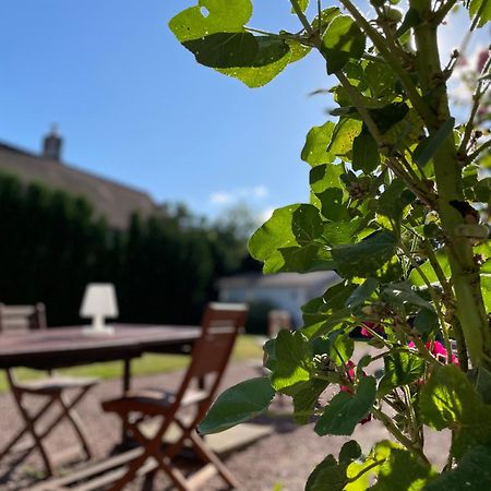 La Fedrie Bed & Breakfast La Croix-en-Touraine Bagian luar foto
