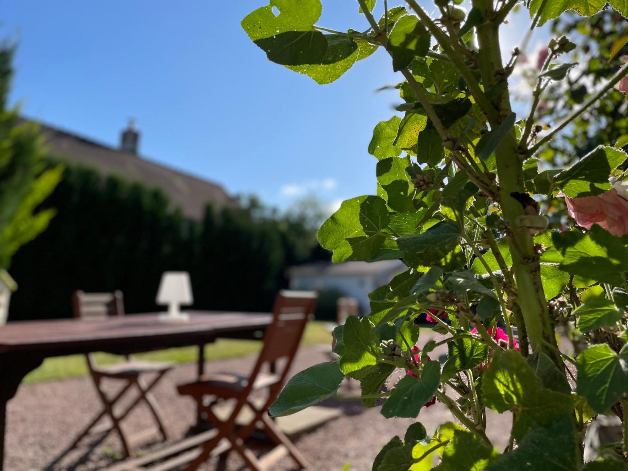 La Fedrie Bed & Breakfast La Croix-en-Touraine Bagian luar foto